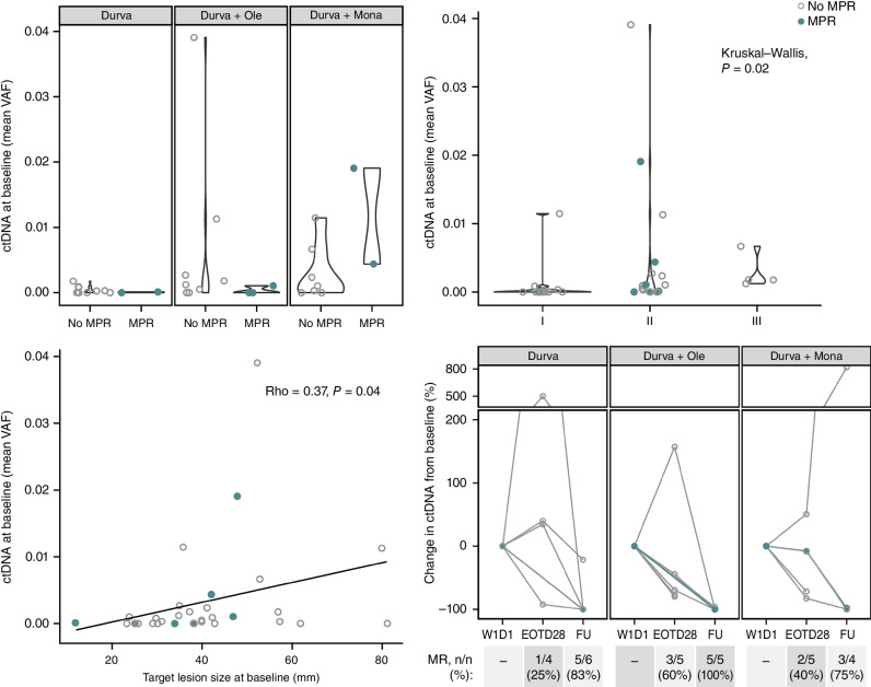 Figure 5. ctDNA dynamics as surrogate for response. Patients with MPR are indicated in closed teal circle; patients without MPR are indicated in open gray circle. Top left: mean VAF at baseline is compared between patients with an MPR and with no MPR across all arms. Top right: mean VAF at baseline associated across stage I, II, or III disease. Bottom left: mean VAF at baseline correlated with the sum of diameters among target lesions at baseline (mm) (total patients with ctDNA evaluable at baseline N = 33; durvalumab monotherapy arm: n = 13; durvalumab + oleclumab arm: n = 11; durvalumab + monalizumab arm: n = 9). Bottom right: for patients with detectable ctDNA at baseline (total N = 20; durvalumab monotherapy arm: n = 6; durvalumab + oleclumab arm: n = 7, durvalumab + monalizumab arm: n = 7), molecular response (≥50% reduction in VAF from baseline) is depicted at end of treatment (EOT; day 28) and follow-up (FU; day 105) time points for all patients with evaluable ctDNA at those time points (N are depicted above). W1D1, week 1, day 1.