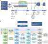 Figure 1. Study design and patient disposition. A, Eligible patients with resectable, early-stage [stage IA3 (>2 cm) to IIIA per AJCC staging, 8th edition) NSCLC were randomized to receive one 28-day cycle of durvalumab monotherapy or durvalumab in combination with oleclumab, monalizumab, or danvatirsen. Patients were stratified by lymph node involvement. Surgical resection was planned to occur between days 29 and 42 after the first dose of neoadjuvant therapy. After surgery, patients were followed for AEs up to day 105. The primary endpoint was the MPR rate, defined as the proportion of patients with ≤10% residual viable tumor cells in the surgical specimen (primary tumor and sampled lymph nodes at surgery). Tumor samples were collected, where possible, at screening (day −1 to day −21) and at surgery. Blood samples were collected, where possible, at screening (pretherapy), at baseline (day 1), at the end of neoadjuvant treatment (day 28), and at the end of study (day 105 ± 21 days). Stool samples were collected, where possible, at screening (within 21 days of the start of treatment) and on treatment (day 15 to day 28). B, Flow diagram depicts the disposition of patients through the phases of the study, from screening, neoadjuvant treatment, surgical resection, and study completion. The total numbers of patients in the ITT and as-treated populations, as well as reasons for discontinuations of treatment, are shown. Danva, danvatirsen; Durva, durvalumab; ECOG PS, Eastern Cooperative Oncology Group performance status; Mona, monalizumab; Ole, oleclumab; Q4W, once every 4 weeks; Q2W, once every 2 weeks; QW, every week. *The danvatirsen arm was stopped early, as the program was discontinued. †Patients who completed treatment with novel agent. ‡One patient did not receive all planned doses of danvatirsen but had surgery. ¶Death due to perioperative complications not considered related to treatment.