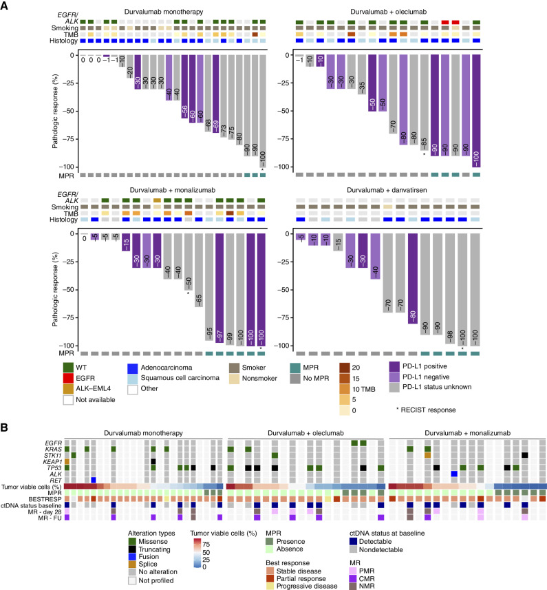 Figure 2. Pathologic regressions at surgery; genomic profiles of ITT population and correlates with pathologic responses. A, The magnitude of pathologic response is shown by percent residual viable tumor cells in resected tumor and nodal samples for all patients with available data (total N = 75; durvalumab monotherapy arm: n = 24; durvalumab + oleclumab arm: n = 18; durvalumab + monalizumab arm: n = 18; durvalumab + danvatirsen arm: n = 15), and annotated with histologic subtype, tumor mutational burden (TMB; mutations/megabase), and history of smoking. PD-L1 status (≥1% positive; <1% negative) from baseline tumor biopsies was determined by IHC (SP263) for all evaluable patients (n = 33). Presence of activating EGFR mutations or ALK fusions was determined by whole-exome sequencing (n = 34). B, Residual viable tumor cells (RVT) from resected tumor and nodal samples are reported as 0% to 100%, and MPR (RVT ≤10%) for n = 60 patients (durvalumab monotherapy: n = 24, durvalumab + oleclumab: n = 18; durvalumab + monalizumab: n = 18). Best response by Response Evaluation Criteria in Solid Tumors version 1.1 (RECIST) is reported for n = 58 patients. Somatic tumor alterations identified in EGFR, KRAS, STK11, KEAP1, TP53, ALK, and RET genes are reported from tumor tissue for n = 35 patients. For patients with evaluable circulating tumor DNA (ctDNA) samples at baseline, each patient is identified as having detected or no detected ctDNA at baseline. For patients with detectable ctDNA at baseline (total N = 20; durvalumab monotherapy: n = 6; durvalumab + oleclumab: n = 7; durvalumab + monalizumab: n = 7), molecular response is depicted at end-of-treatment (day 28, n = 14) and follow-up (day 105, n = 15) time points for all patients with evaluable ctDNA at those time points and represented as complete molecular response [100% reduction in variant allele frequency (VAF) from baseline, also referred to as complete clearance], partial molecular response (≥50% reduction in VAF from baseline), or no molecular response (<50% reduction in VAF from baseline). BESTRESP, best response; FU, follow-up; MR, molecular response; WT, wild-type.