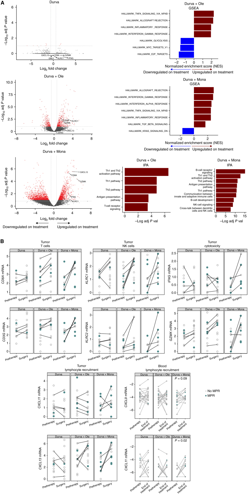 Figure 3. Treatment-related transcriptomic changes in tumor and peripheral blood. A, Left: differential gene expression between tumors collected at pretherapy and at surgery was assessed in all patients with evaluable paired tumor samples (total, n = 13 patients). Paired samples in each arm had the following MPR rates: durvalumab monotherapy: 0/4; durvalumab + oleclumab: 1/5; durvalumab + monalizumab: 2/4. Right: gene set enrichment analysis (GSEA) was used to identify gene sets and signatures significantly down- or upregulated from pretherapy to surgery on each treatment arm. The durvalumab monotherapy arm is not pictured, as no significant gene enrichment was observed. B, Patients with MPR are indicated in closed teal circle; patients without MPR are indicated in open gray circle. Top and top middle: mRNA from select genes associated with T cells, NK cells, and cytotoxicity is shown from pretreatment and surgery tumor tissue (n = 69 samples; n = 35 pretherapy, n = 34 surgery). Patients with paired samples (an evaluable sample from both pretreatment and surgery) are connected by a line. Bottom and bottom middle: mRNA from select genes associated with tumor and blood lymphocyte recruitment is shown from pretherapy to end-of-treatment peripheral blood collections (n = 120 samples; n = 65 pretherapy, n = 55 end-of-treatment). Y-axes units are all [Log2 (TPM + 0.01)], where TPM is transcripts per million. DN, down; Durva, durvalumab; IPA, Ingenuity Pathway Analysis; Mona, monalizumab; Ole, oleclumab.