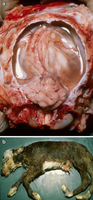 Fig. 4