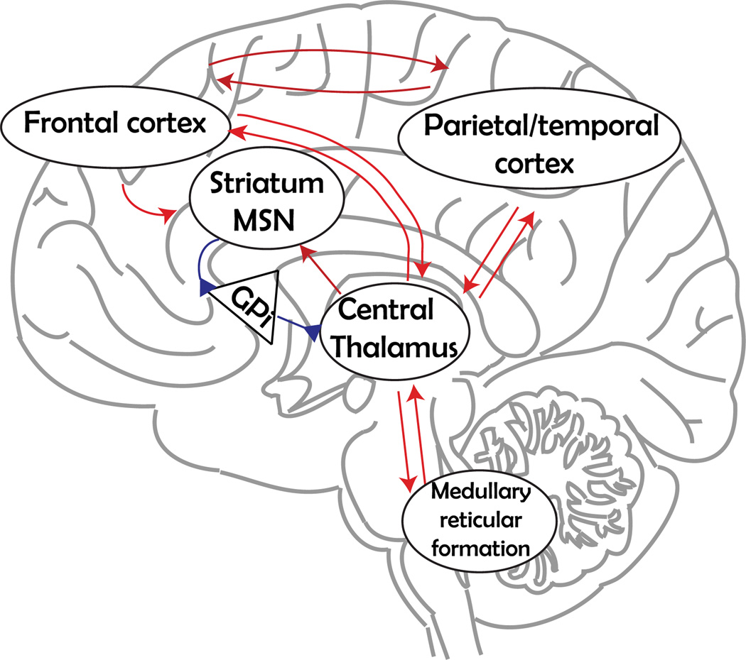 Fig. 2