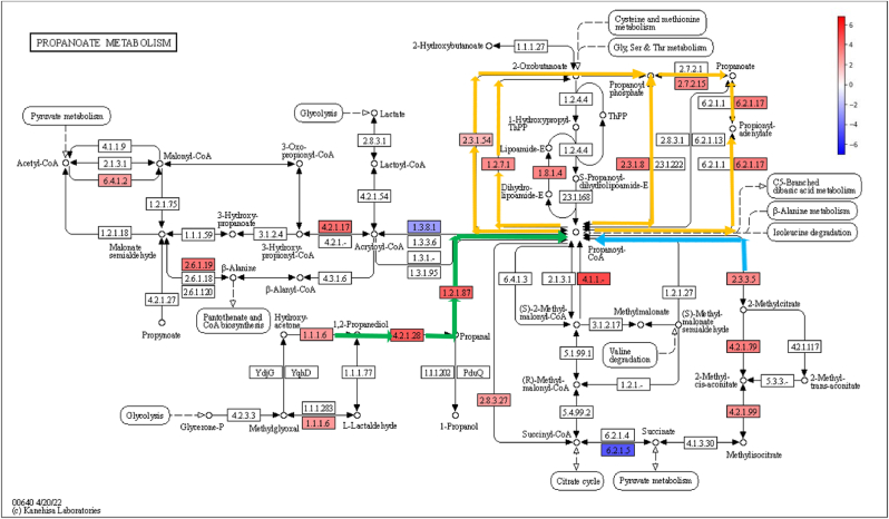 Fig. 3