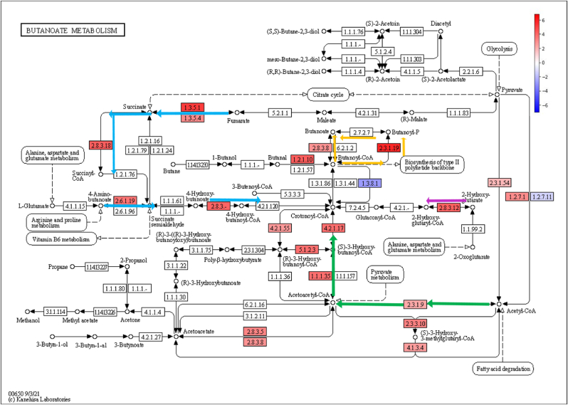 Fig. 2