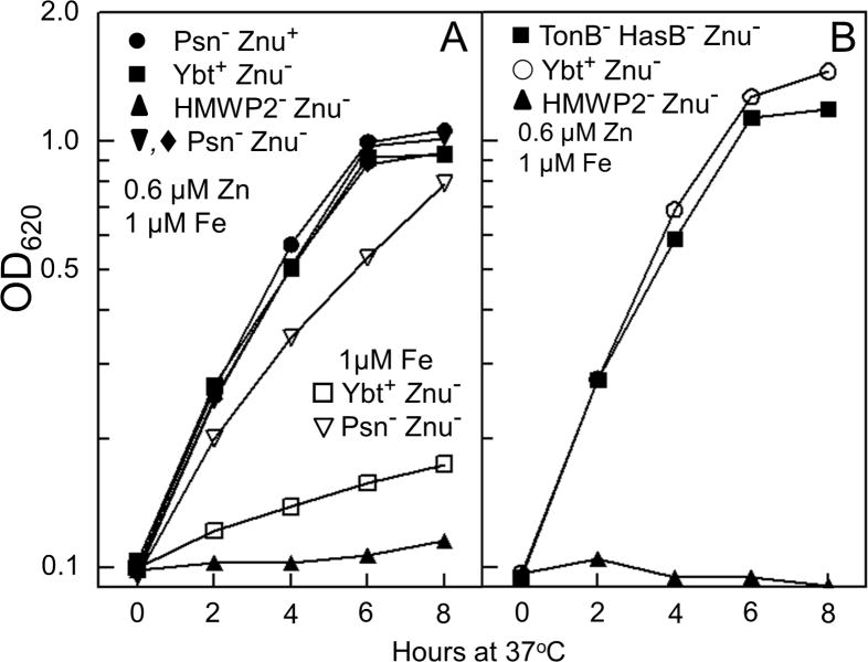 Fig. 6