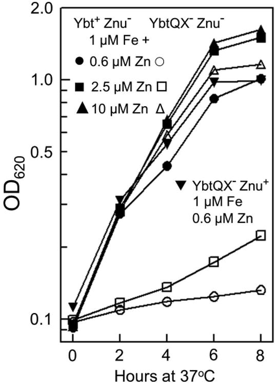 Fig. 7