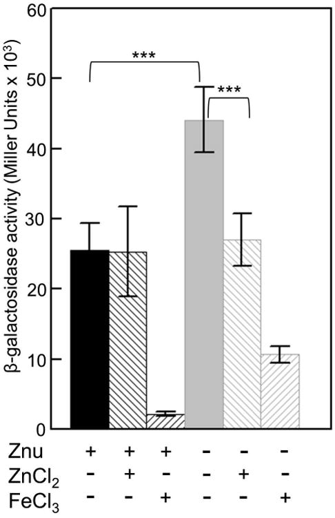 Fig. 5