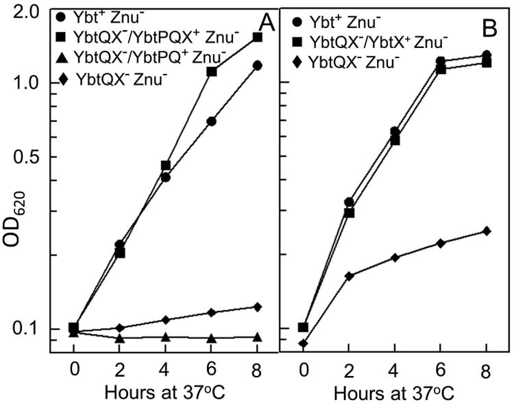 Fig. 8