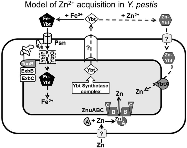 Fig. 10