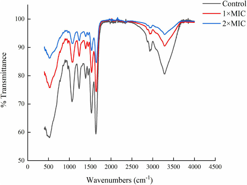 FIGURE 4