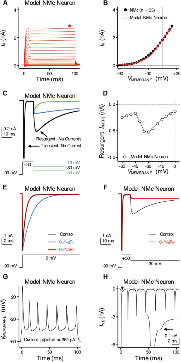 FIGURE 9