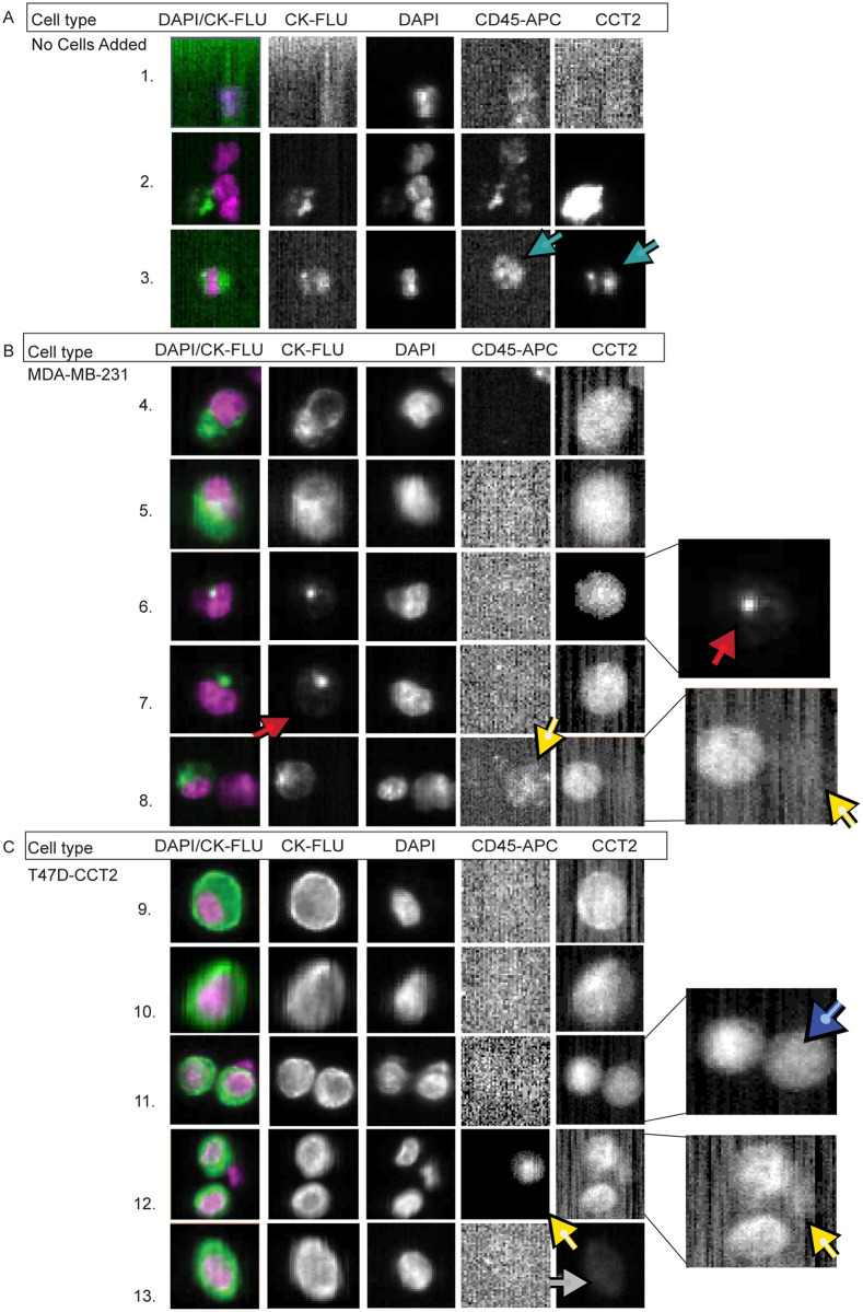 Fig 4