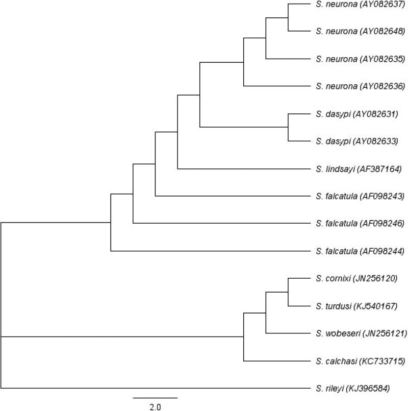 Fig. 2