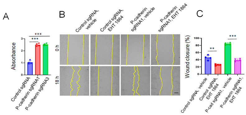 Figure 9