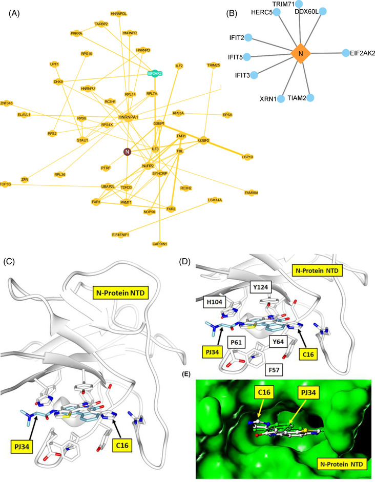 FIGURE 3