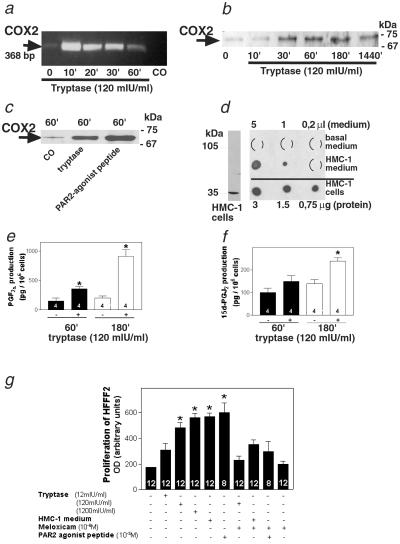 Fig 1.