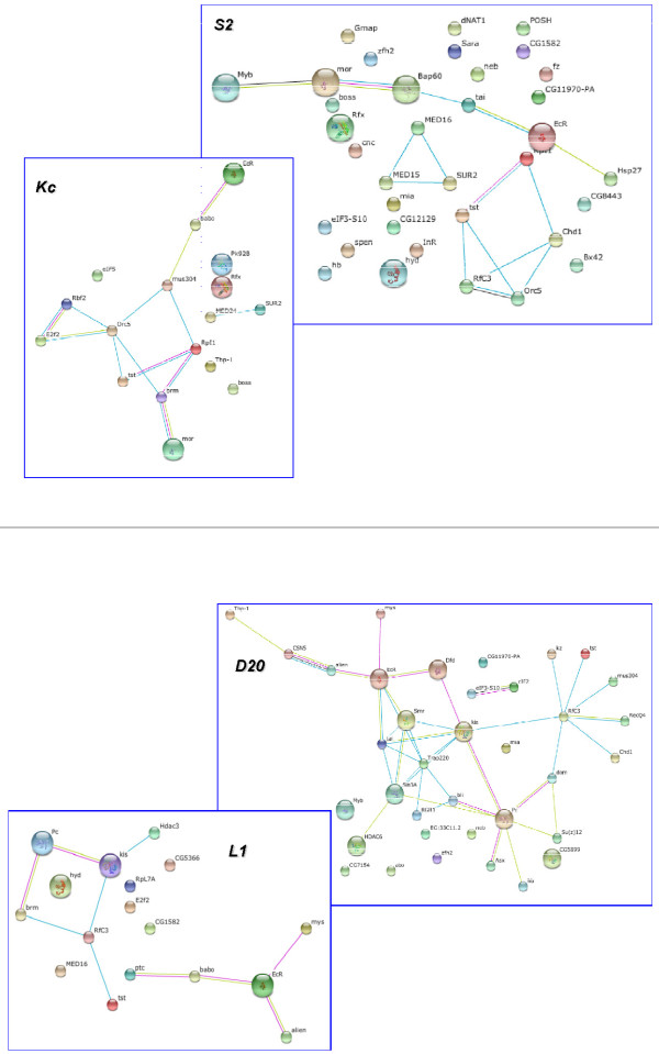 Figure 7