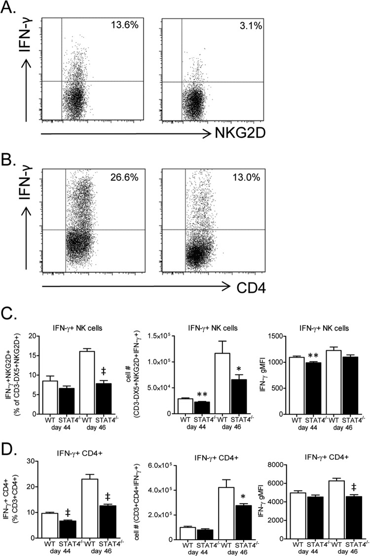 FIG 12