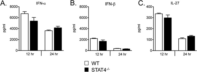 FIG 9