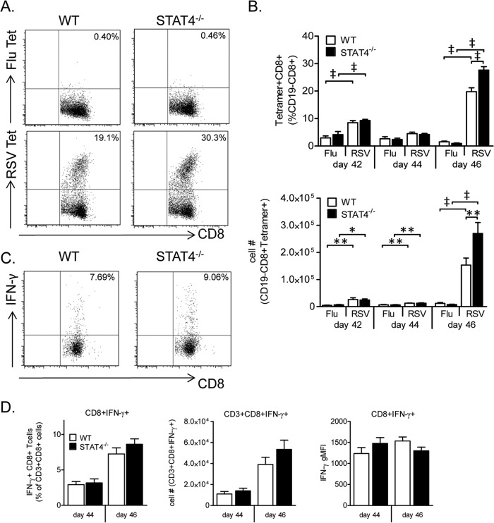 FIG 13