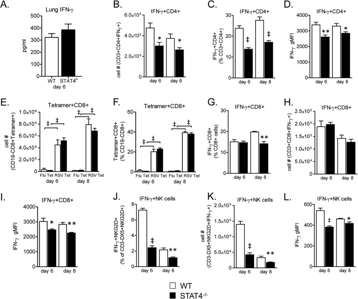 FIG 6