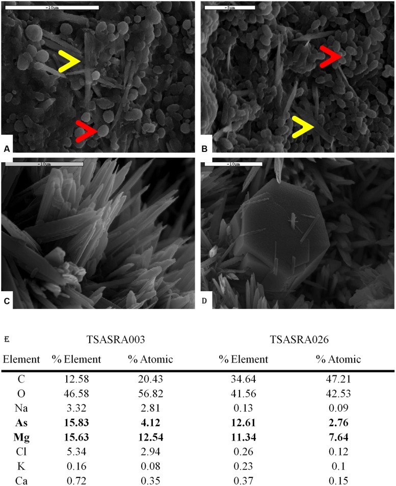 FIGURE 3