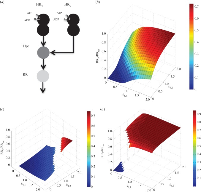 Figure 4.