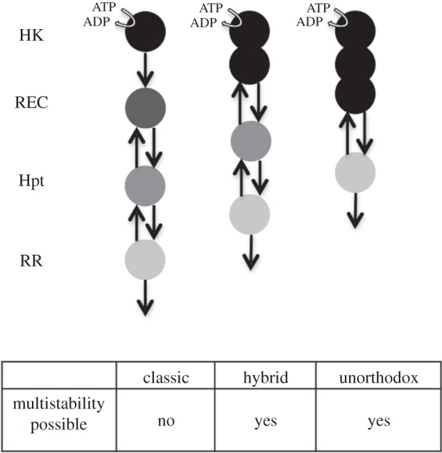 Figure 1.