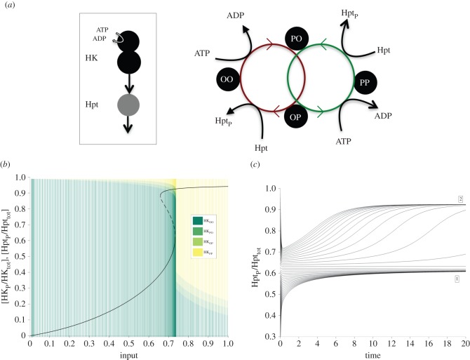 Figure 2.