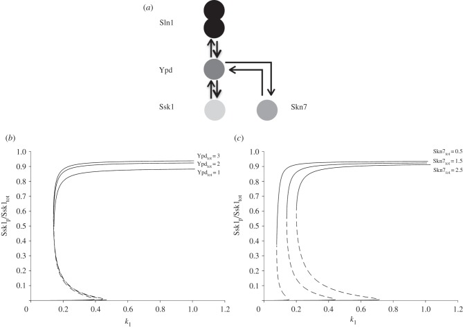 Figure 5.