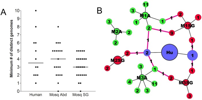 Fig 7