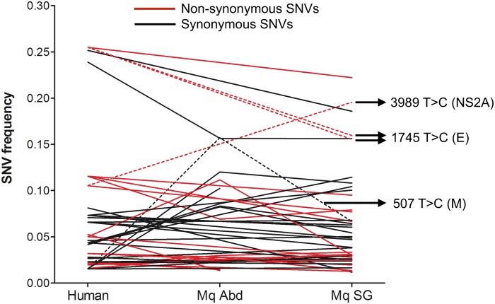 Fig 4