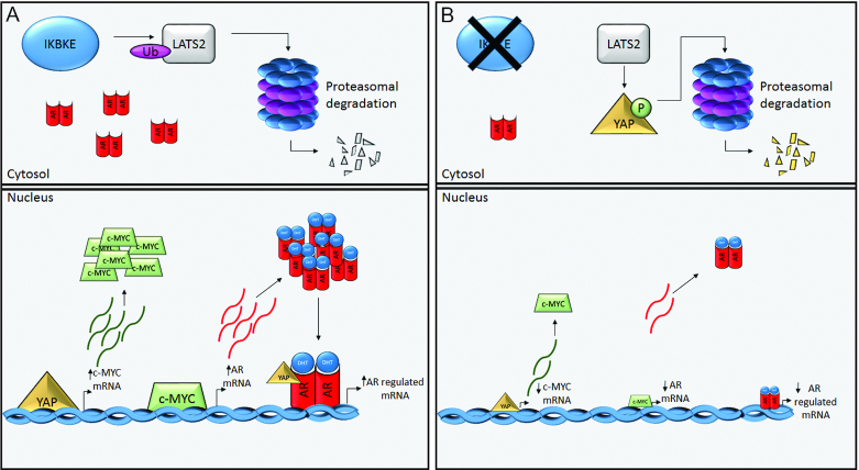 Figure 10.