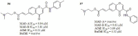 Fig. (24)