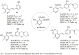 Fig. (19)