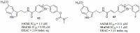 Fig. (29)