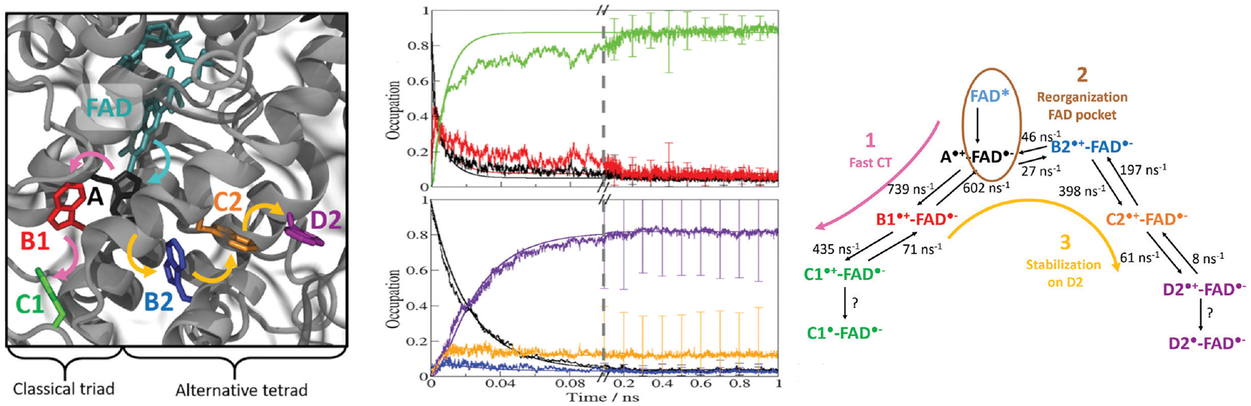 Figure 4: