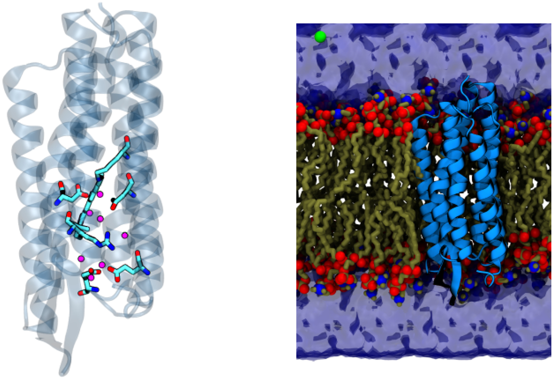 Figure 1: