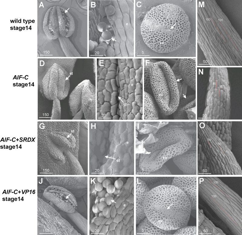 Fig. 8.