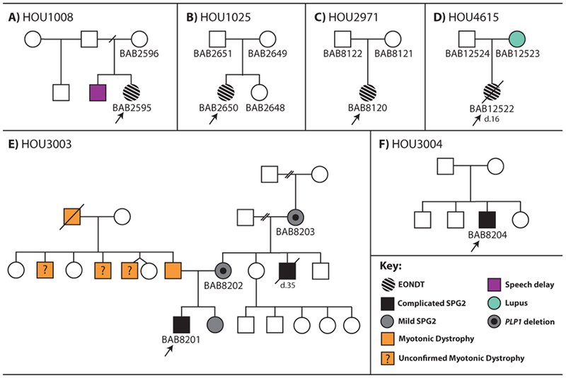 Figure 1: