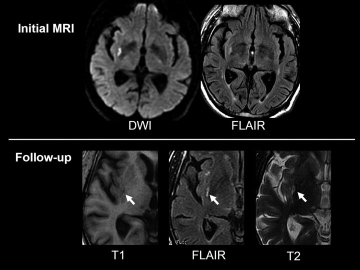 Fig 1.