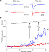 Figure 6—figure supplement 2.