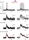 Figure 4—figure supplement 1.