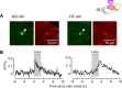 Figure 3—figure supplement 2.