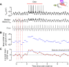 Figure 1—figure supplement 1.