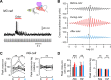 Figure 2—figure supplement 1.