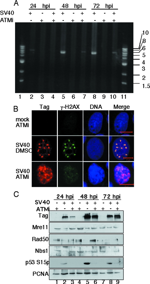 FIG. 6.