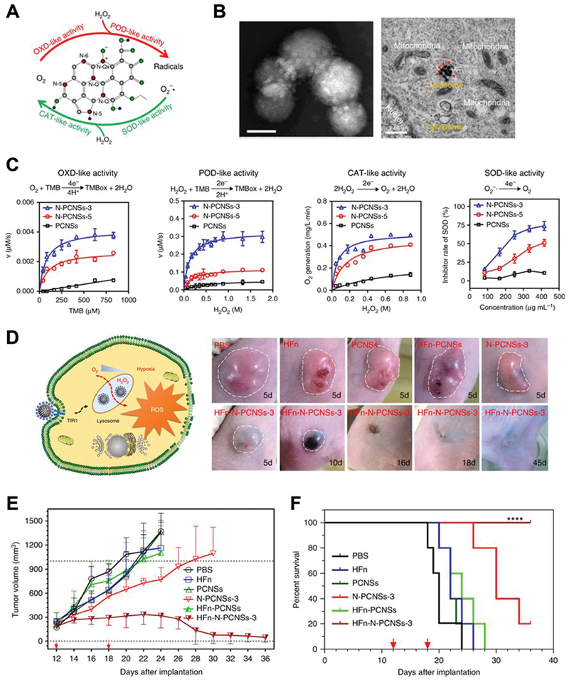 Fig. 11