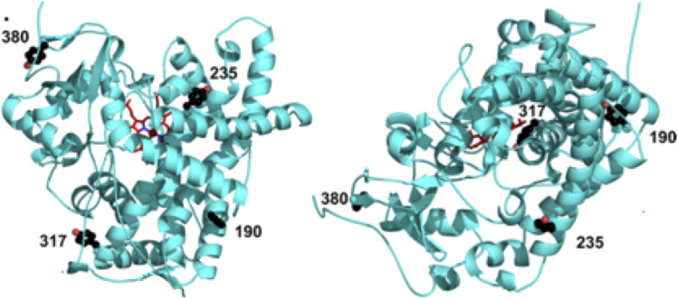 Fig. 6.