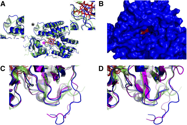 Fig. 8.